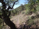 photo thumbnail #14