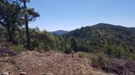 photo thumbnail #13
