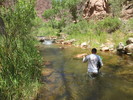 photo thumbnail #4