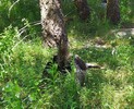 photo thumbnail #7
