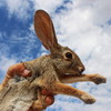 photo thumbnail #7