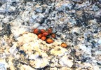 photo thumbnail #12