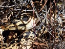 photo thumbnail #14