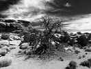 photo thumbnail #13