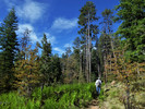 photo thumbnail #5
