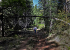 photo thumbnail #6