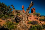 photo thumbnail #14