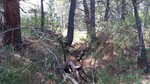 photo thumbnail #10