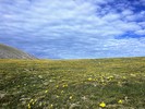 photo thumbnail #14