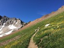 photo thumbnail #14