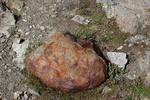 photo thumbnail #6