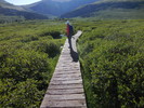 photo thumbnail #5