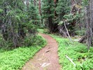 photo thumbnail #9