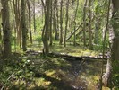 photo thumbnail #7