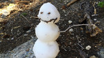 photo thumbnail #13