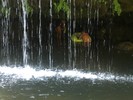 photo thumbnail #15