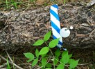 photo thumbnail #2