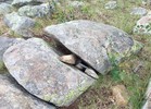 photo thumbnail #9