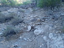 photo thumbnail #5