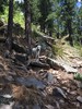 photo thumbnail #5