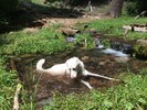 photo thumbnail #6