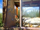 photo thumbnail #9
