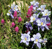 photo thumbnail #10