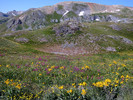 photo thumbnail #11