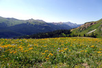 photo thumbnail #12