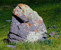 photo thumbnail #14