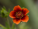 photo thumbnail #13