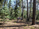 photo thumbnail #1