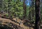 photo thumbnail #13