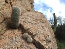photo thumbnail #10