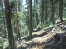 photo thumbnail #4
