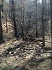 photo thumbnail #12