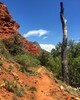 photo thumbnail #5
