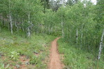 photo thumbnail #7