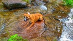 photo thumbnail #2