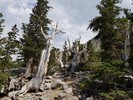 photo thumbnail #13
