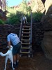 photo thumbnail #3