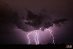 photo thumbnail #2