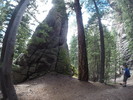 photo thumbnail #8