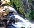 photo thumbnail #10