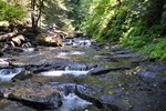 photo thumbnail #11