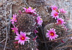 photo thumbnail #8