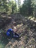 photo thumbnail #3