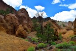 photo thumbnail #1