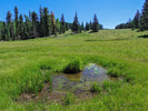 photo thumbnail #11