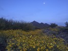 photo thumbnail #7